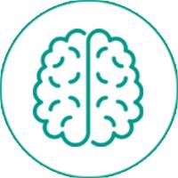 پمفلت مغزو اعصاب