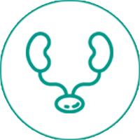 پمفلت ارولوژی