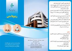 رینو پلاستی