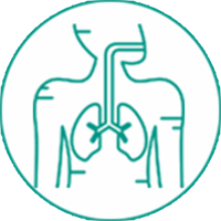 کلینیک داخلی / ریه و غدد