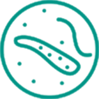 کلینیک داخلی عفونی