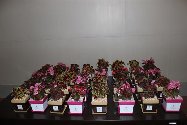 بازدید عید96