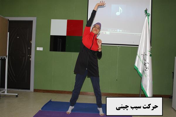 ورزش های بارداری 3