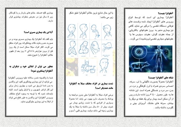 آنفولانزا2