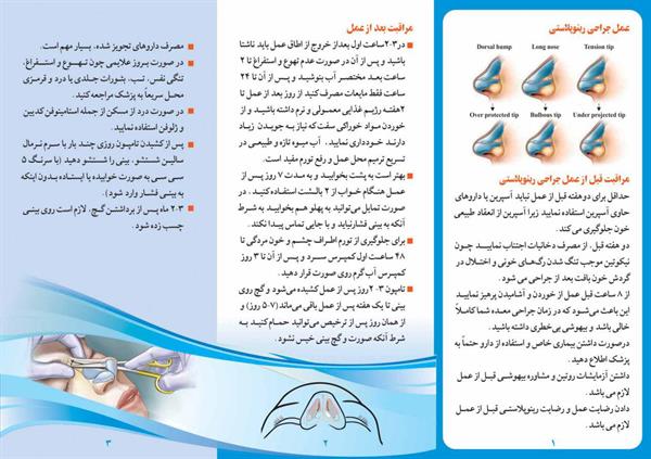 رینو پلاستی2