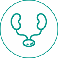 کلینیک نفرولوژ