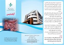 آپاندیس2