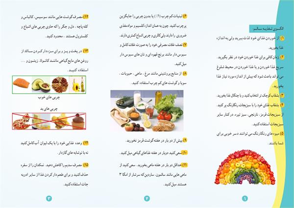 الگوی تغذیه سالم2