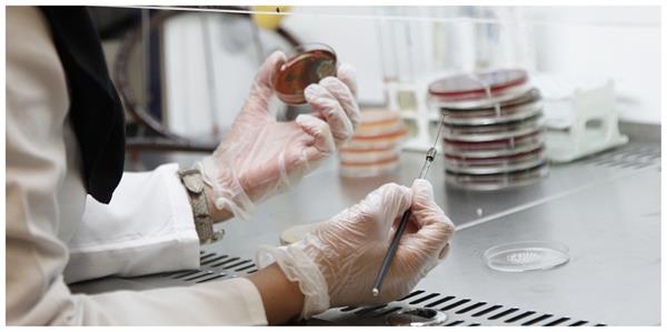 بخش های پاراکلینیک