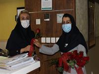 روز کارمند 99 16