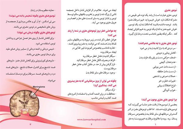 تومورهای مغزی2