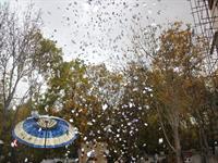 سمینار ارتباطات دهکده سلامت محب در برغان 60