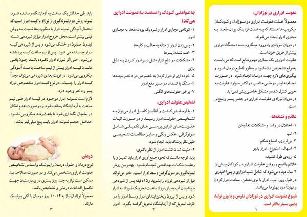 عفونت ادراری 2