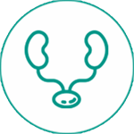 کلینیک (کلیه و مجاری ادرار)/ ارولوژی