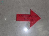 روز جهانی بهداشت دست 1398 39