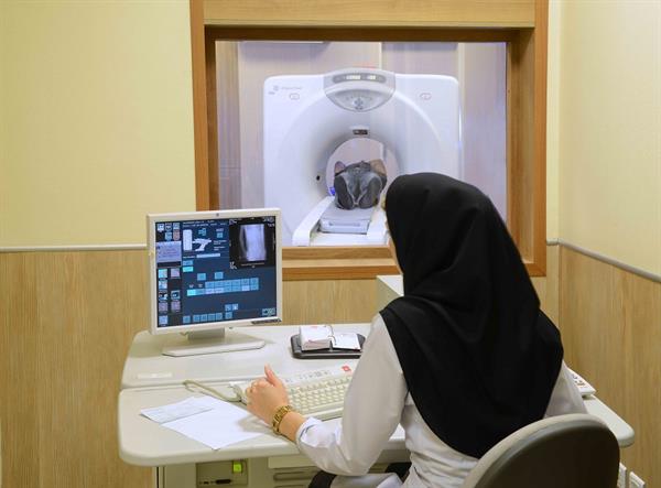 بخش های پاراکلینیک