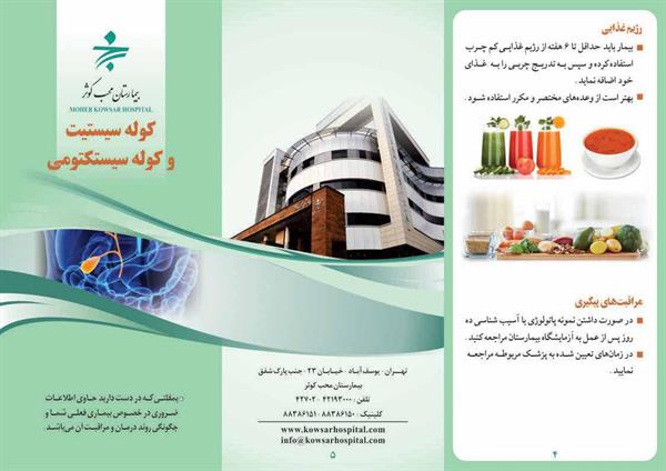 کوله سیستیت2